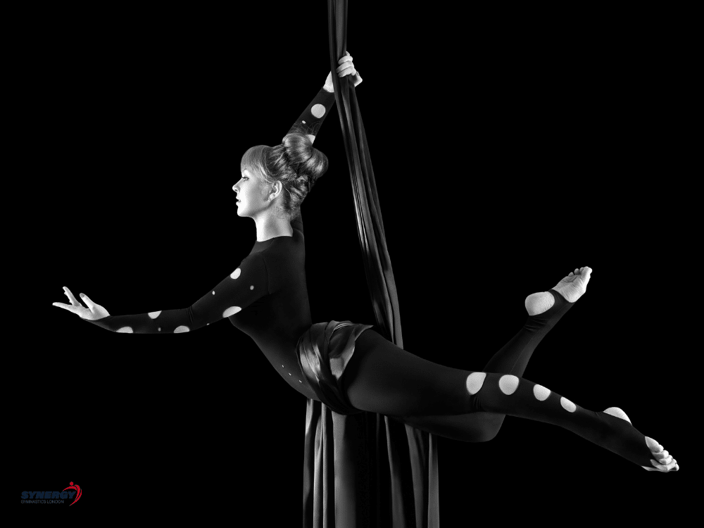 aerial silks black and white