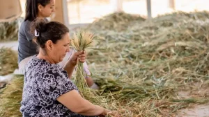 الفريكة في لبنان