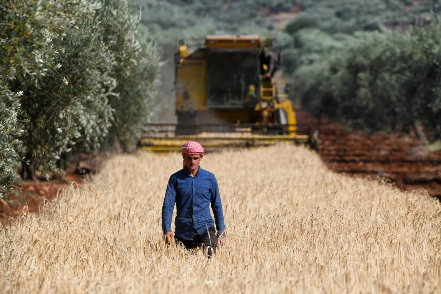 أزمة غذائية وشيكة بعد نقص حاد في القمح..ومنظمات دولية تحذر من الجوع