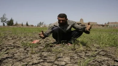 أهم موجات الجفاف في سوريا: ماذا حدث سابقاً وهل نستطيع توقع القادم؟
