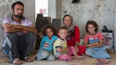 تجنيس أكراد الحسكة: هل تمضي الدولة نحو تسوية مواطنة أوسع؟