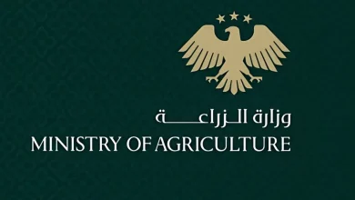 المهندس هارون أحمد الخطاب رئيساً لاتحاد الغرف الزراعية