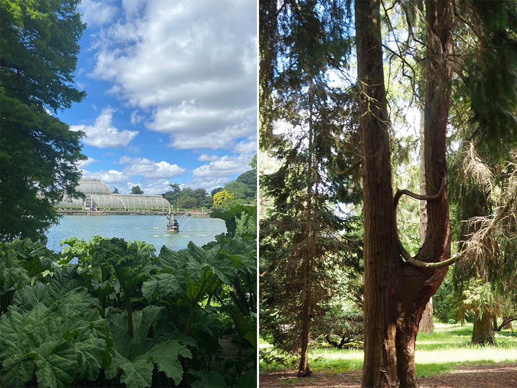 Kew Garden
