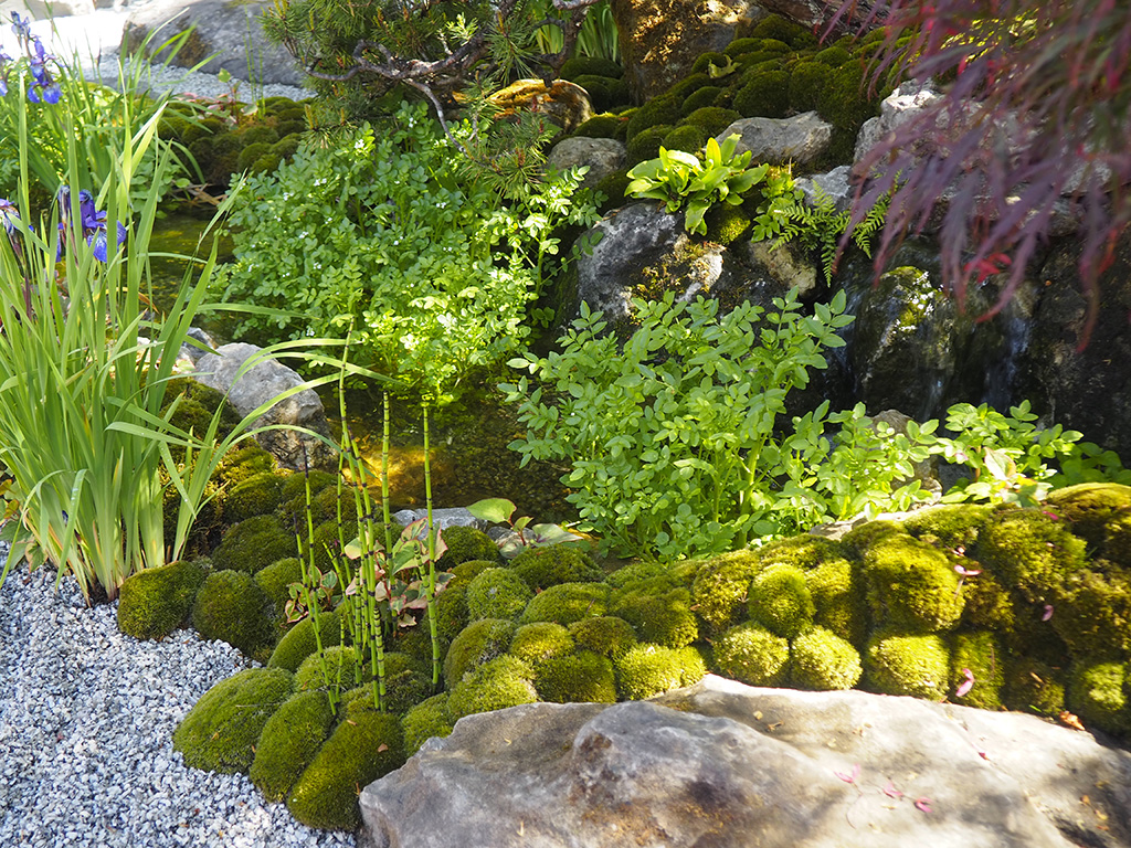 Cha No Niva Japaneas Tea Garden