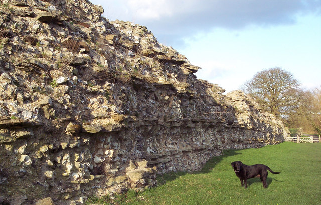 Roman_Wall_at_Calleva_Atrebatum_-_geograph.org.uk_-_334373