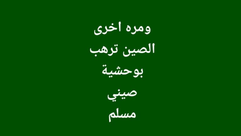 سجنت الصين أبًا مسلمًا من الأويغور لمدة 20 عامًا لأنه أرسل ابنه إلى الخارج وزار تركيا.