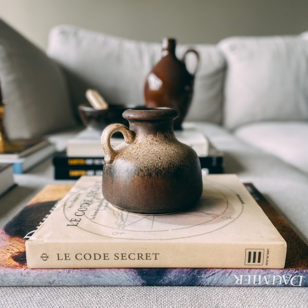 Le Code Secret (Priya Hemenway)