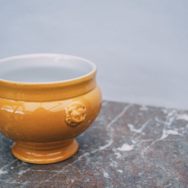 Yellow lion head bowl