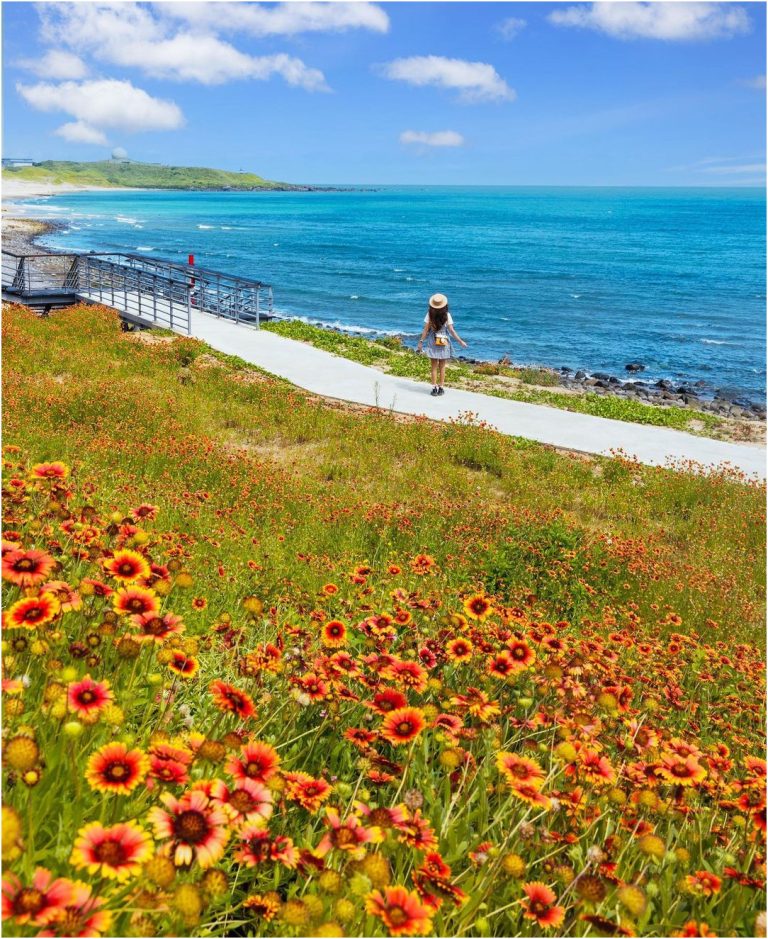 Shimen Kite Park is a beautiful, soothing scene