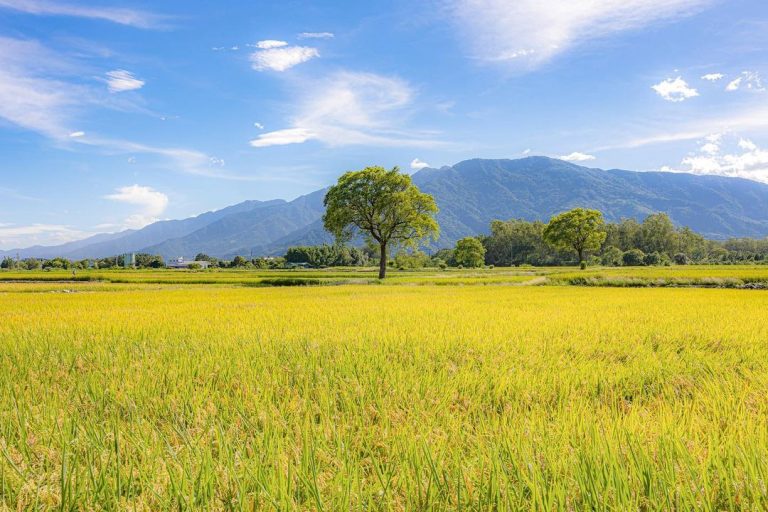 Autumn In Taiwan (And Not Autumn In The Italian Dolomites As One Might Think)