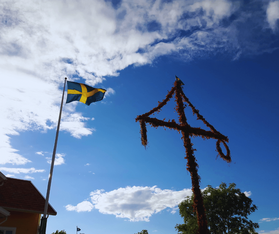 What we can learn from Sweden.