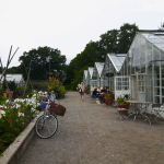 Rosendals trädgården is a popular garden cafe on Djurgården in Stockholm.