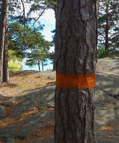 The Sörmland Trail or Sörmlandsleden is a nice trail just south of Stockholm.