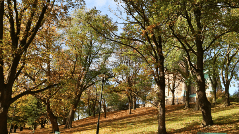 Vitabergsparken Stockholm