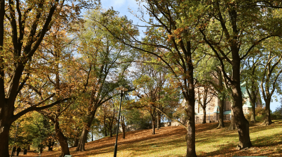 Vitabergsparken Stockholm