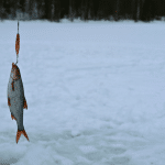 Ice fishing is one of the many winter activities you can do in Sweden.