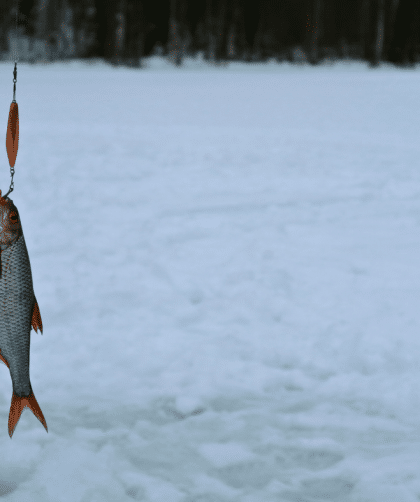 Ice fishing is one of the many winter activities you can do in Sweden.