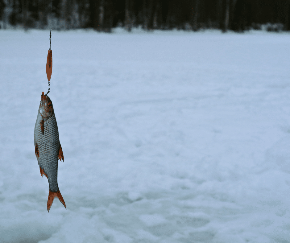 Ice fishing in Sweden - Take me to Sweden