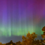 Greens and purples are dancing above our heads as Lady Aurora is illuminating the sky above Stockholm in Sweden.
