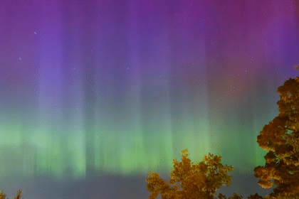 Greens and purples are dancing above our heads as Lady Aurora is illuminating the sky above Stockholm in Sweden.