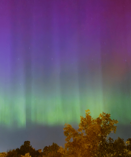 Greens and purples are dancing above our heads as Lady Aurora is illuminating the sky above Stockholm in Sweden.