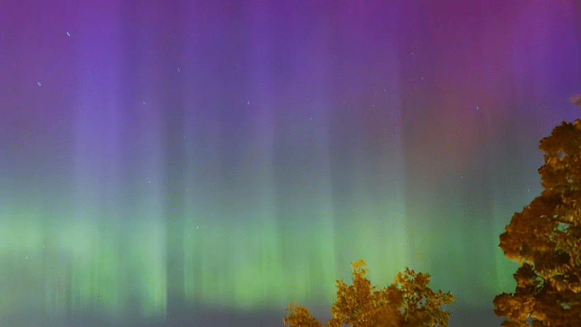 Greens and purples are dancing above our heads as Lady Aurora is illuminating the sky above Stockholm in Sweden.