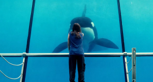 Rust and Bone