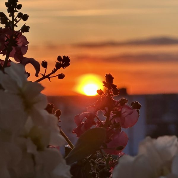 Wolkenimpfung in Russland – Wenn der Himmel nicht mehr uns gehört