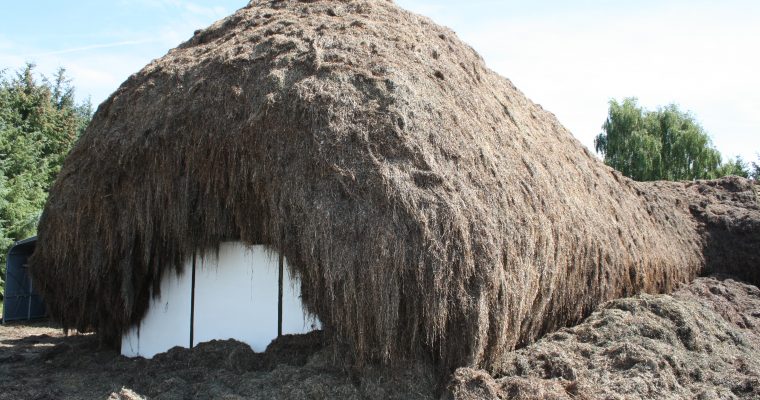 Tanghusene på LÆSØ