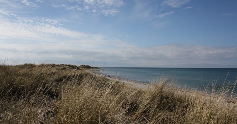 Forelsket i LÆSØ ..