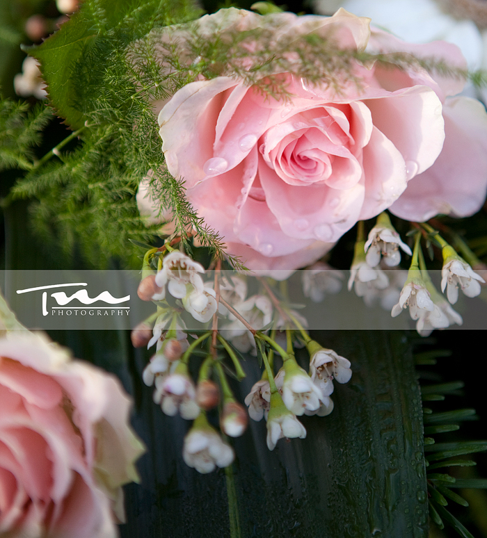 4122252411_f53994b03b_o | Fotograf Tanja Myrbråten