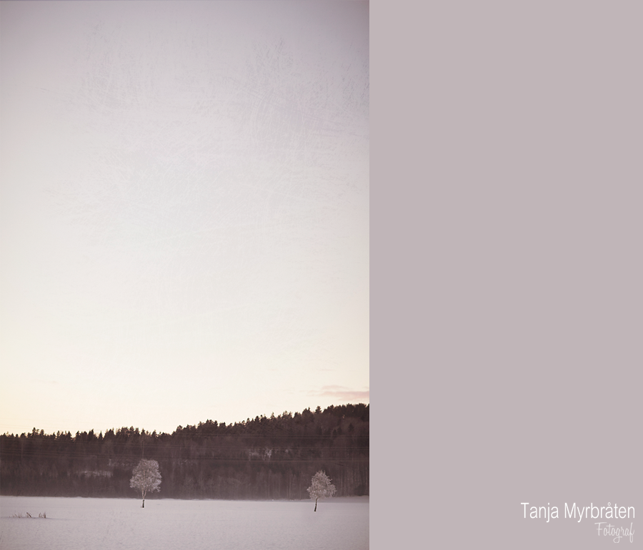 1 | Fotograf Tanja Myrbråten