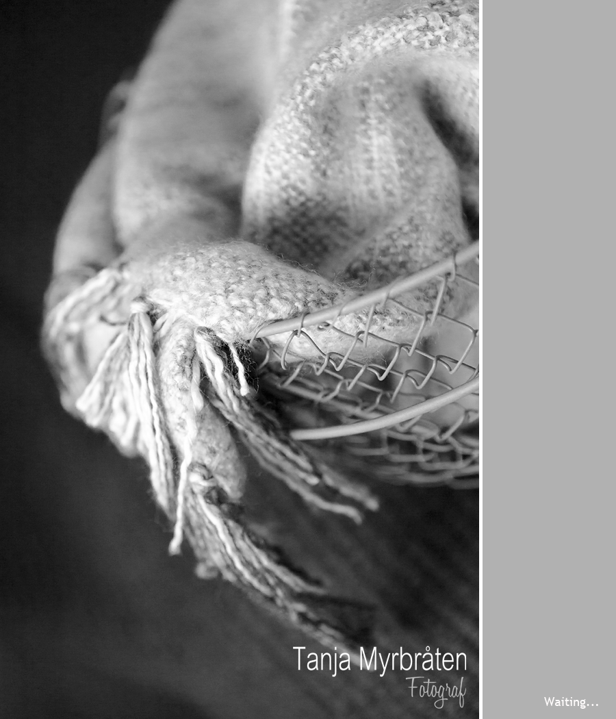 mal-tre-bilder | Fotograf Tanja Myrbråten