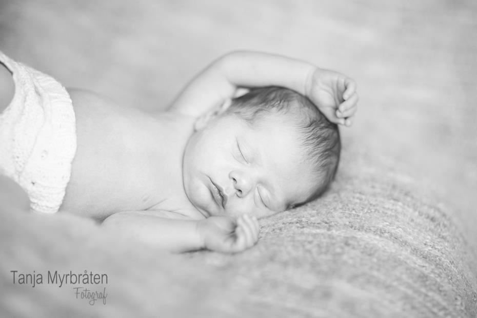 308649_263468753696673_141429065900643_726665_1027222304_n | Fotograf Tanja Myrbråten