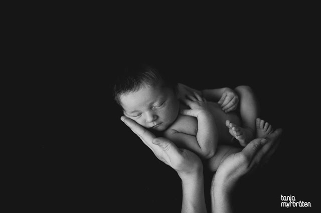 fotograftanjamyrbraten_nyfC3B8dt_baby_vestfold_tC3B8nsberg_nyfC3B8dtfotografering_nyfC3B8dtfoto | Fotograf Tanja Myrbråten