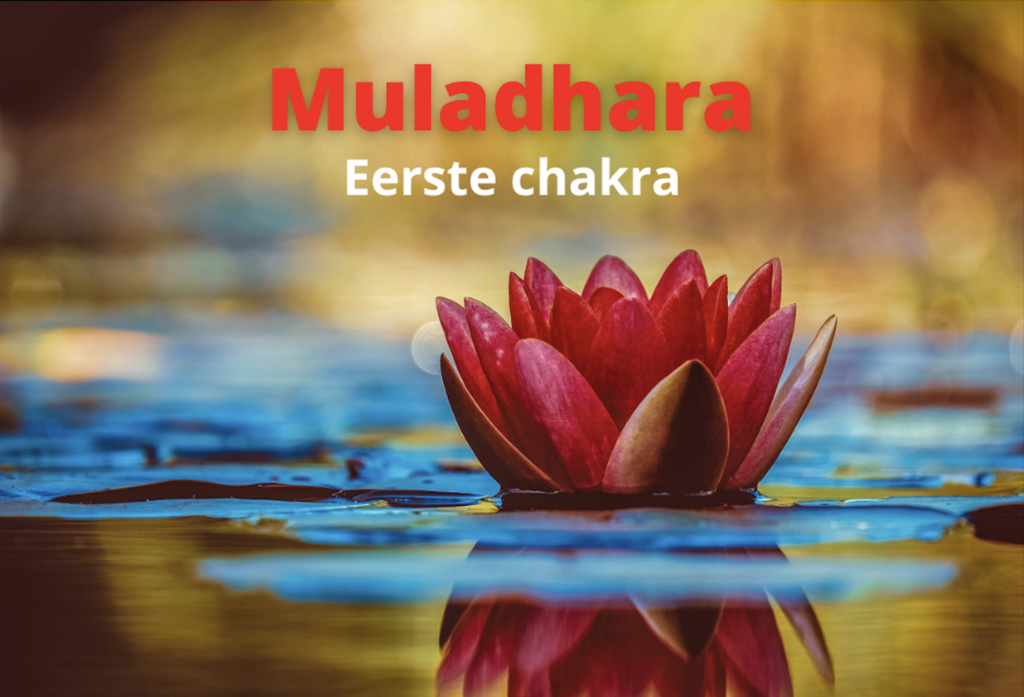 Muladhara eerste chakra