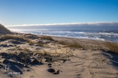 Winter Wanderers: Coastal Beauty in Denmark