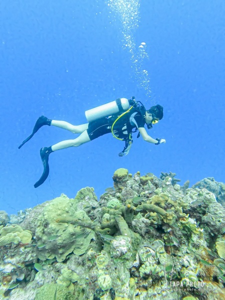 Scuba diving - Cas Abou