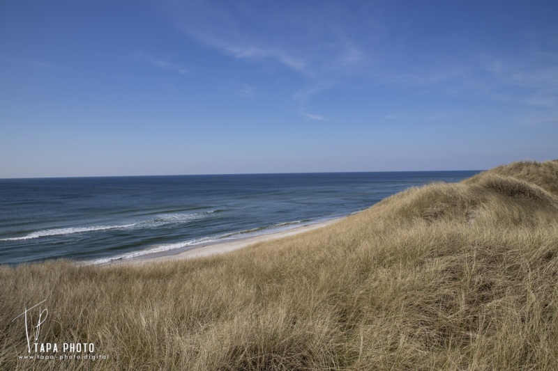Serenity at the Danish North Sea Coast