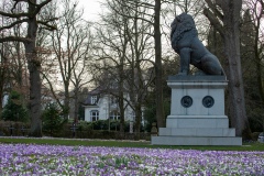 Frühlingserwachen am Museumsberg: Der Idstedt-Löwe inmitten der Krokusblüte