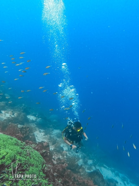 Scuba diving Double Reef - Fisherman's Bay