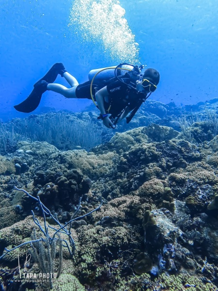 Scuba diving - Marie Pompoen