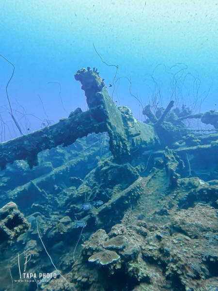 Scuba diving - Marie Pompoen - Car Pile