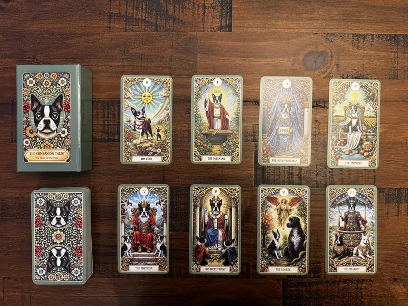 The Companion Tarot - Tarot of the Fool (3)
