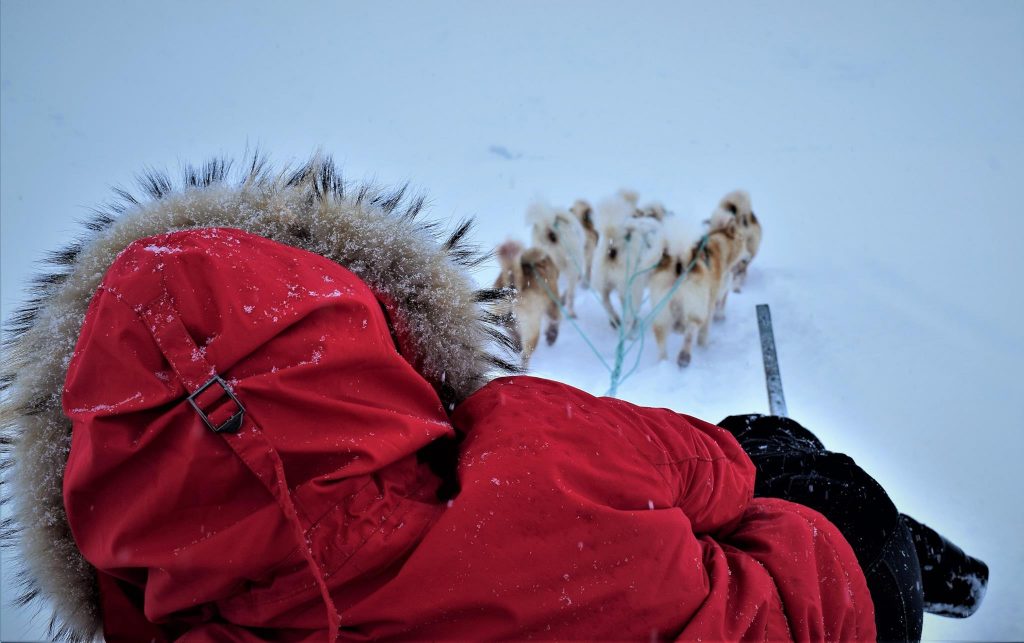 Girl in red jacket, dog sledding near Tasiilaq