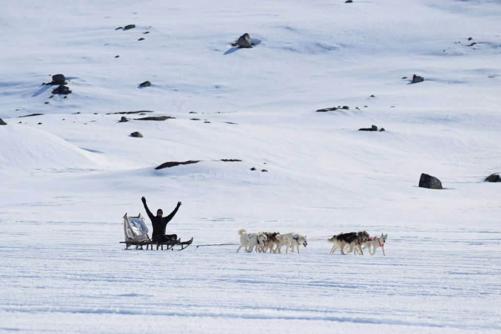 Dog sledding near Tasiilaq