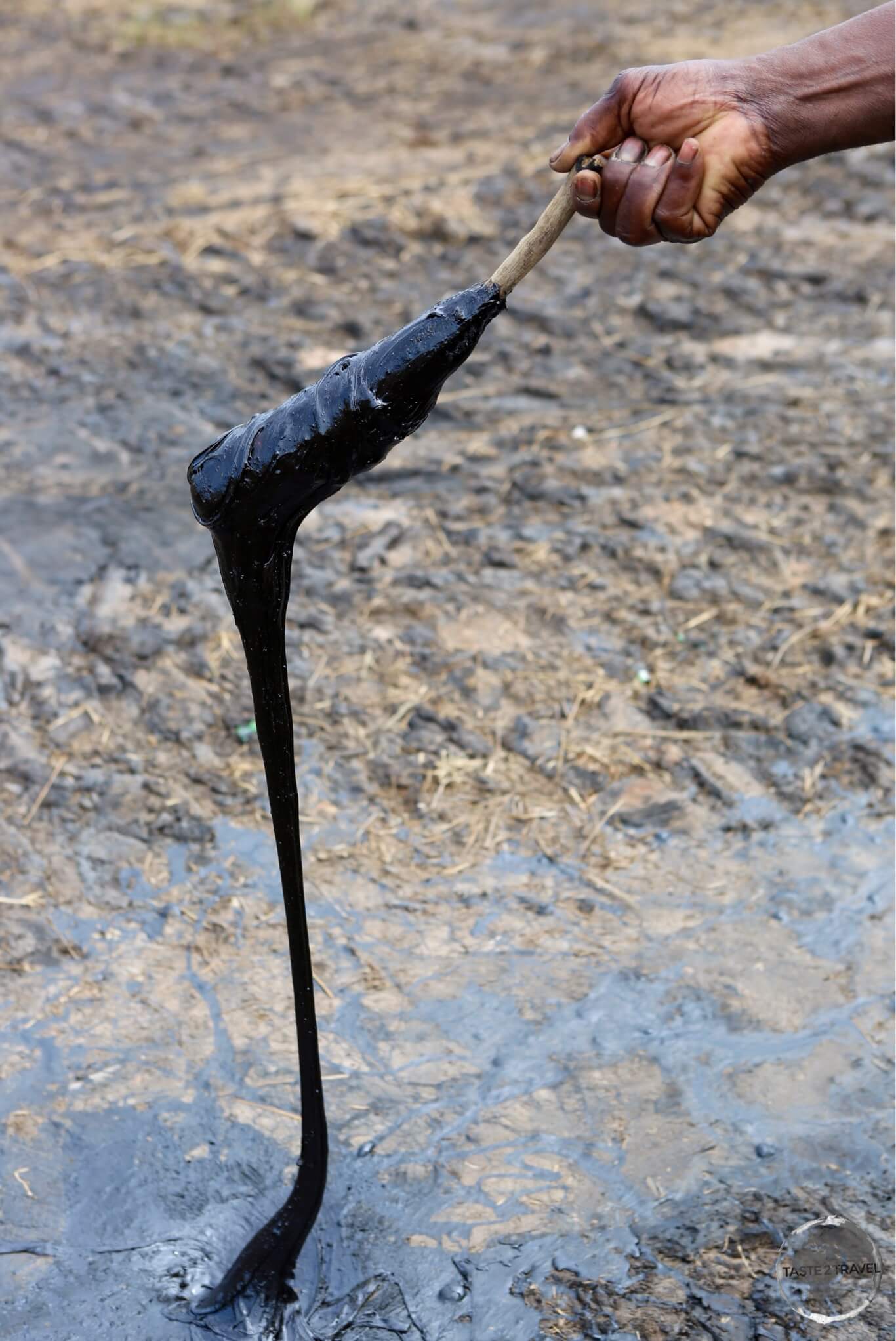 The very sticky, La Brea Pitch lake.