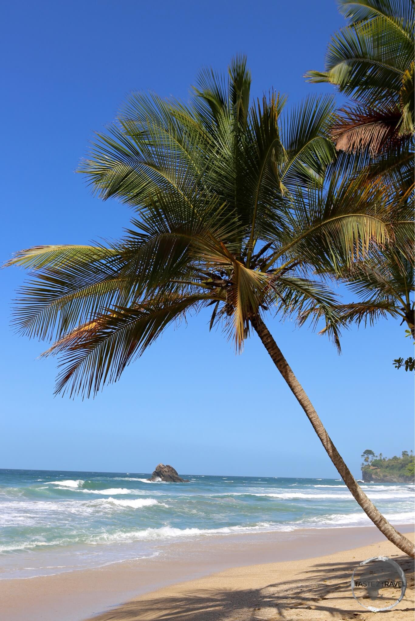 Blanchisseuse Beach on the north coast of Trinidad.