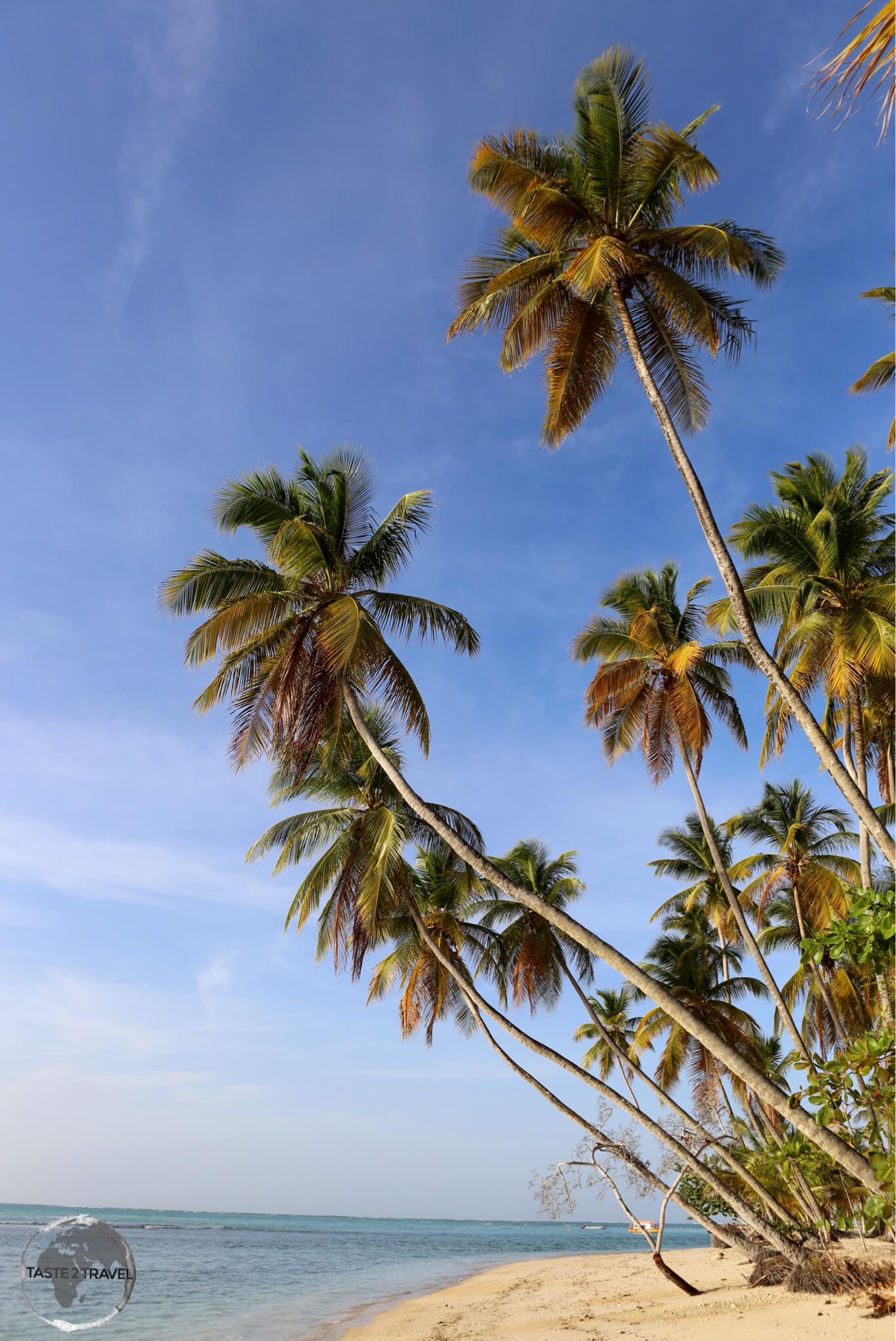 The beach at Pigeon Point is one of the finest on the island of Tobago.