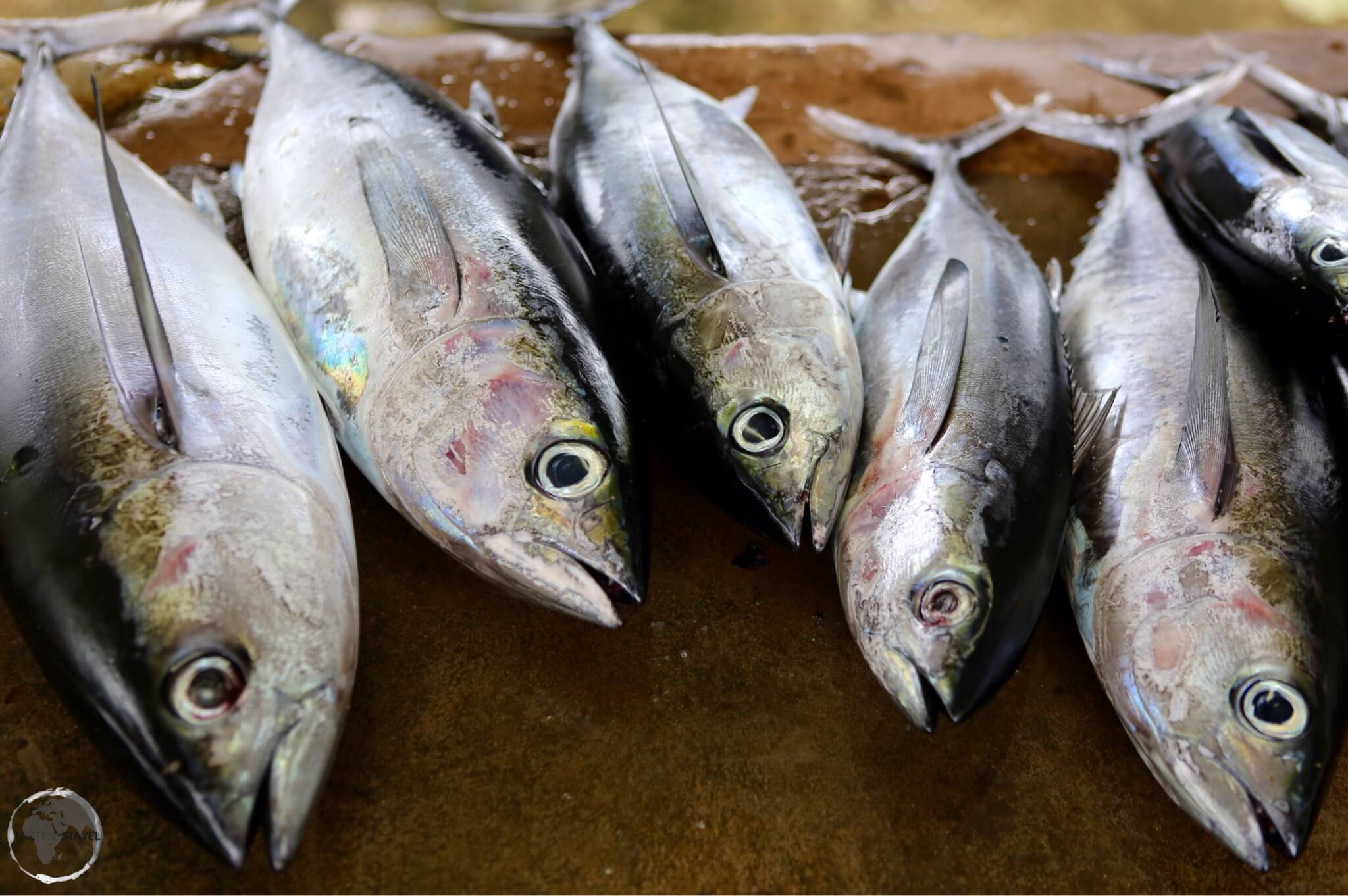 Trinidad & Tobago Travel Guide: Fish market at Speyside, Tobago.